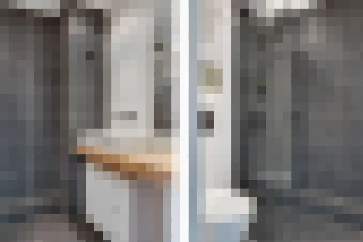 Kokmeeuw 23 Leusden thumbnail 21