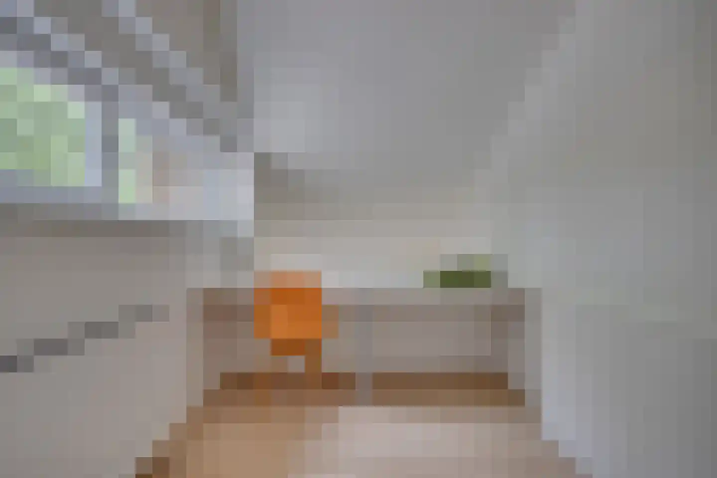 Kokmeeuw 23 Leusden thumbnail 24