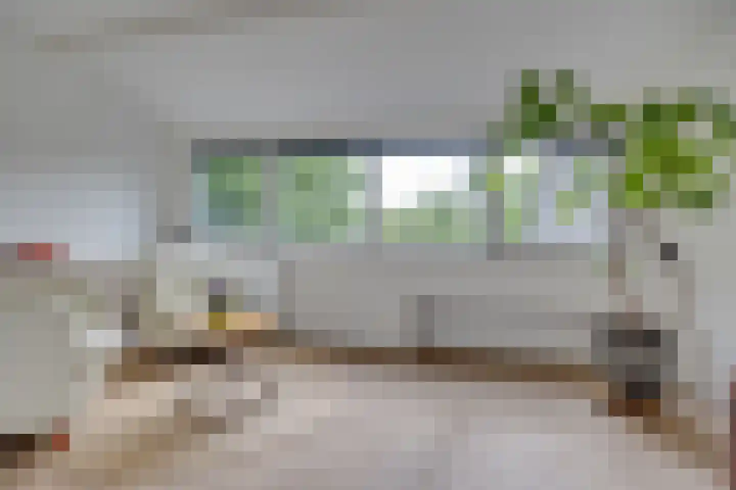 Kokmeeuw 23 Leusden thumbnail 27