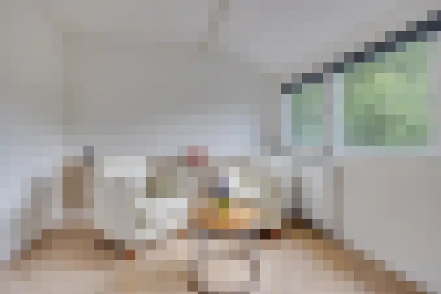 Kokmeeuw 23 Leusden thumbnail 28