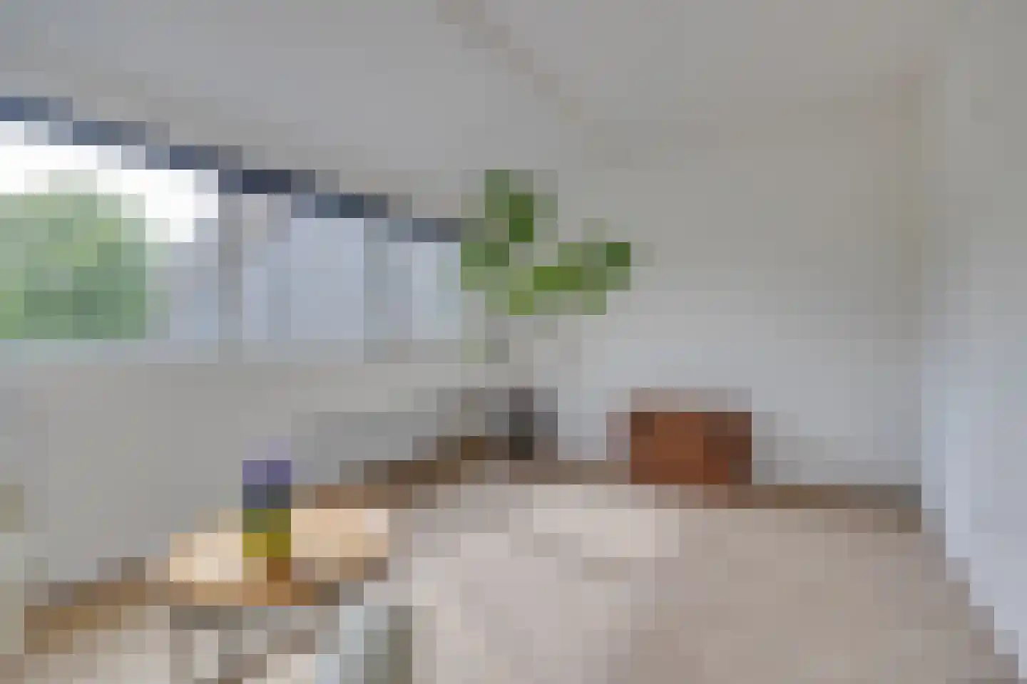 Kokmeeuw 23 Leusden thumbnail 29