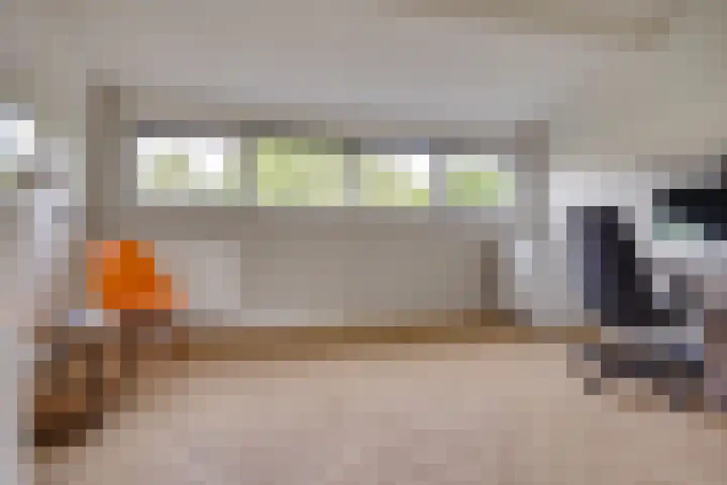Kokmeeuw 23 Leusden thumbnail 30