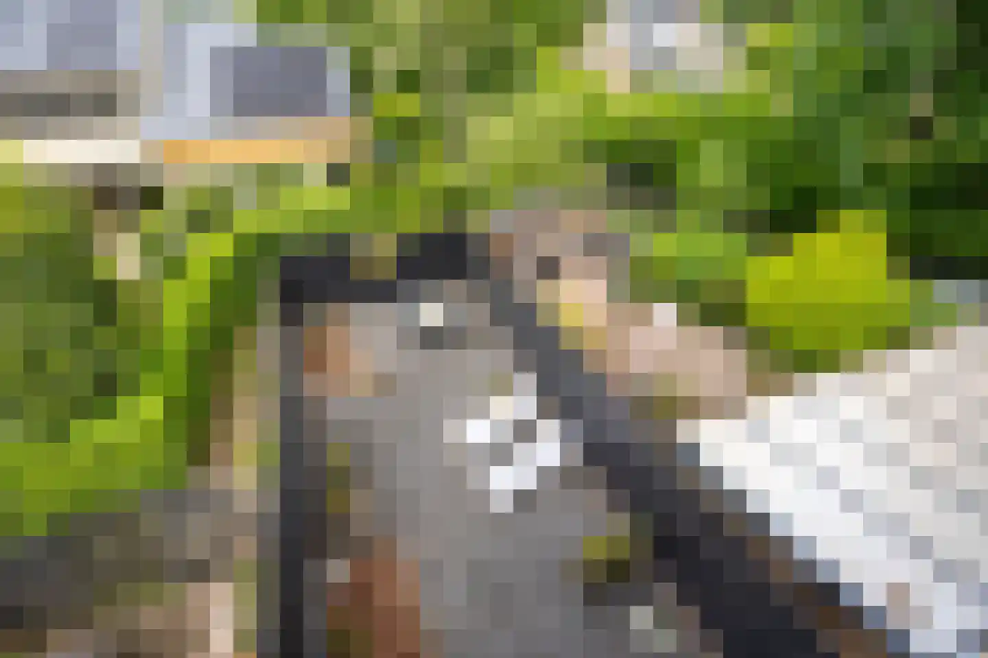 Kokmeeuw 23 Leusden thumbnail 32