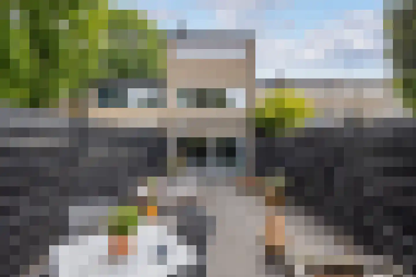 Kokmeeuw 23 Leusden thumbnail 35