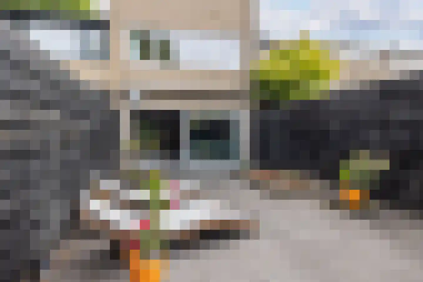 Kokmeeuw 23 Leusden thumbnail 36