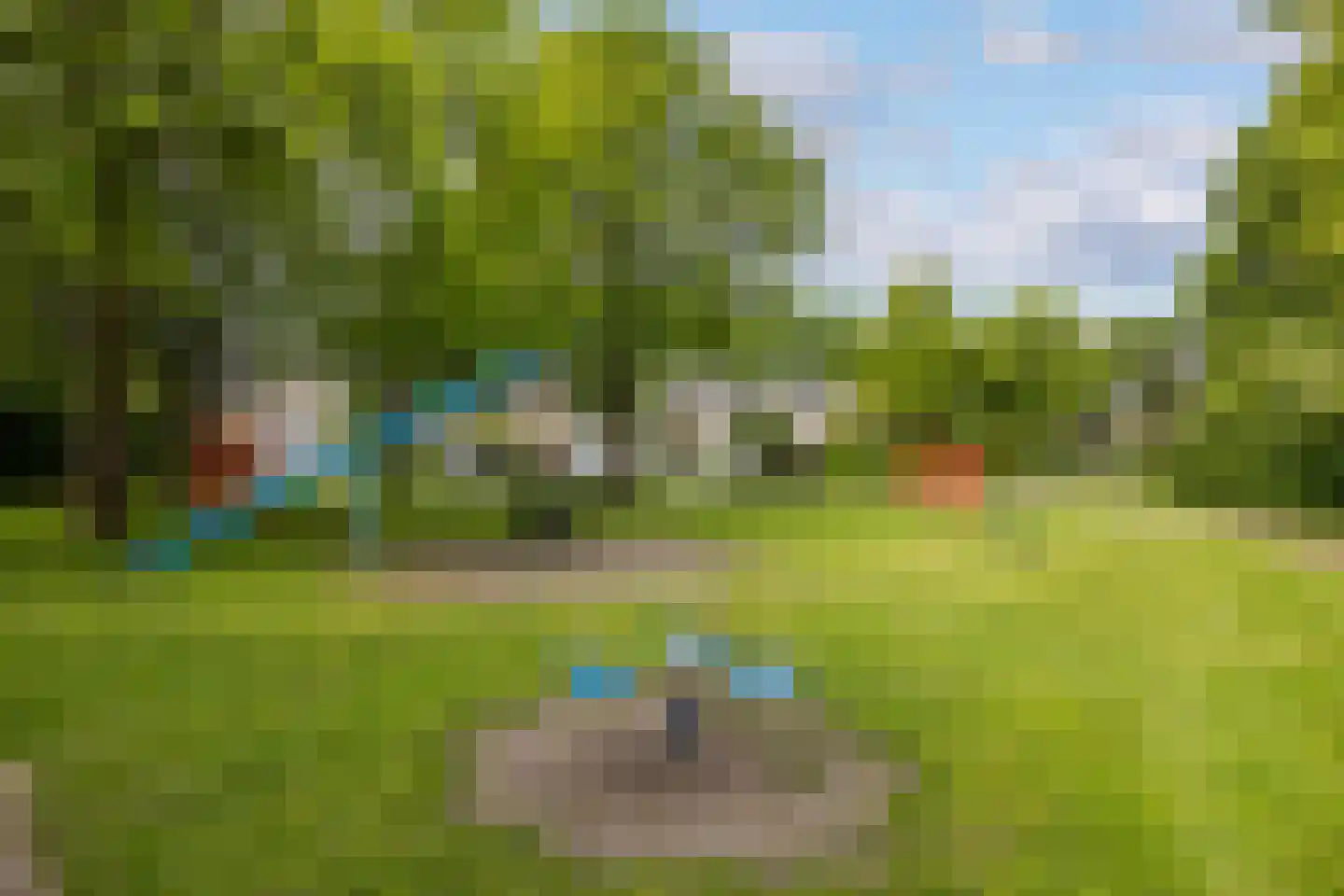 Kokmeeuw 23 Leusden thumbnail 38