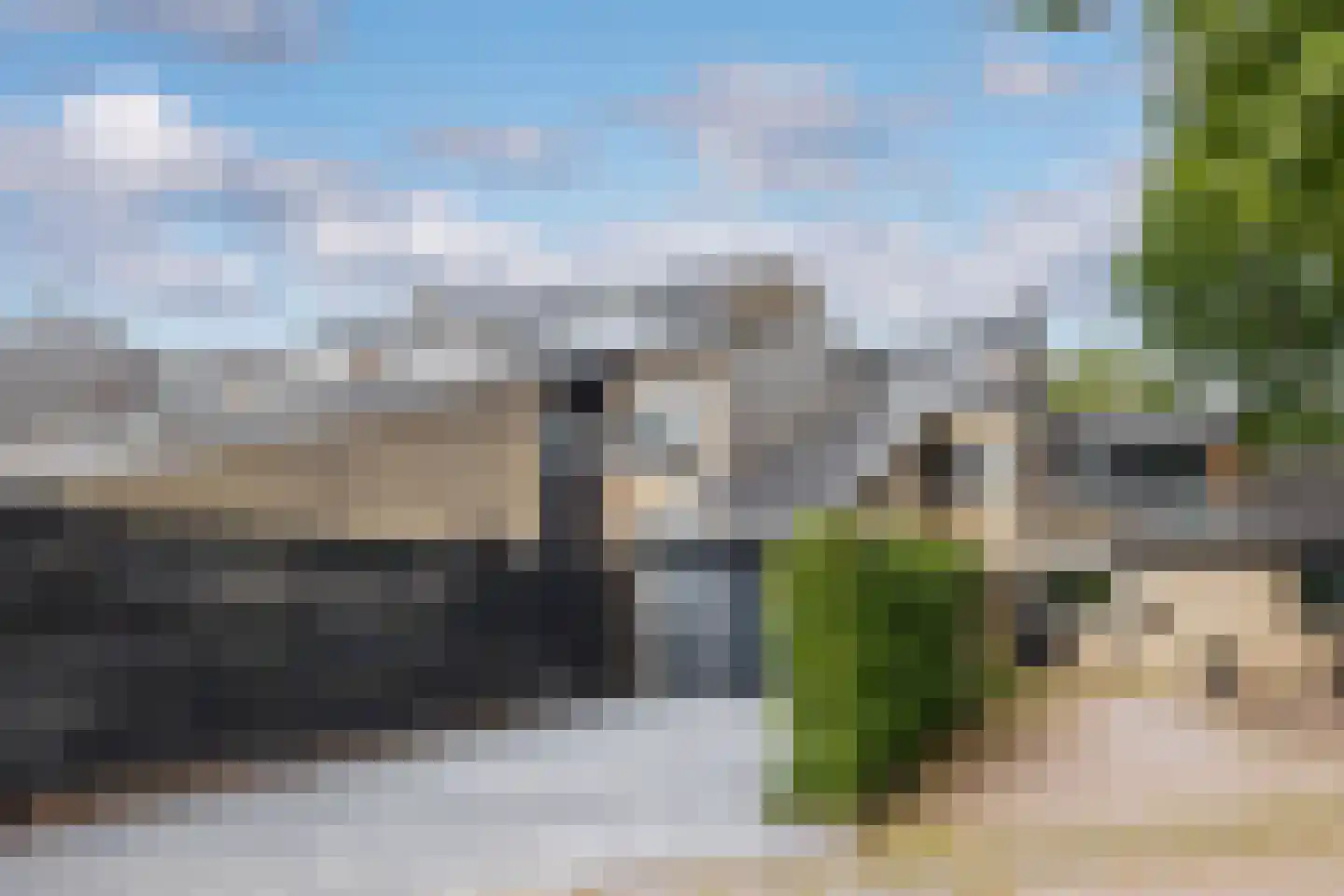 Kokmeeuw 23 Leusden thumbnail 39