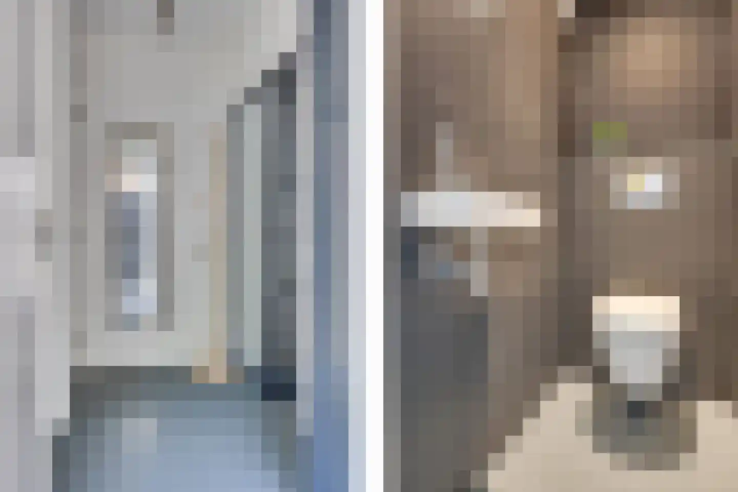 Kokmeeuw 23 Leusden thumbnail 4
