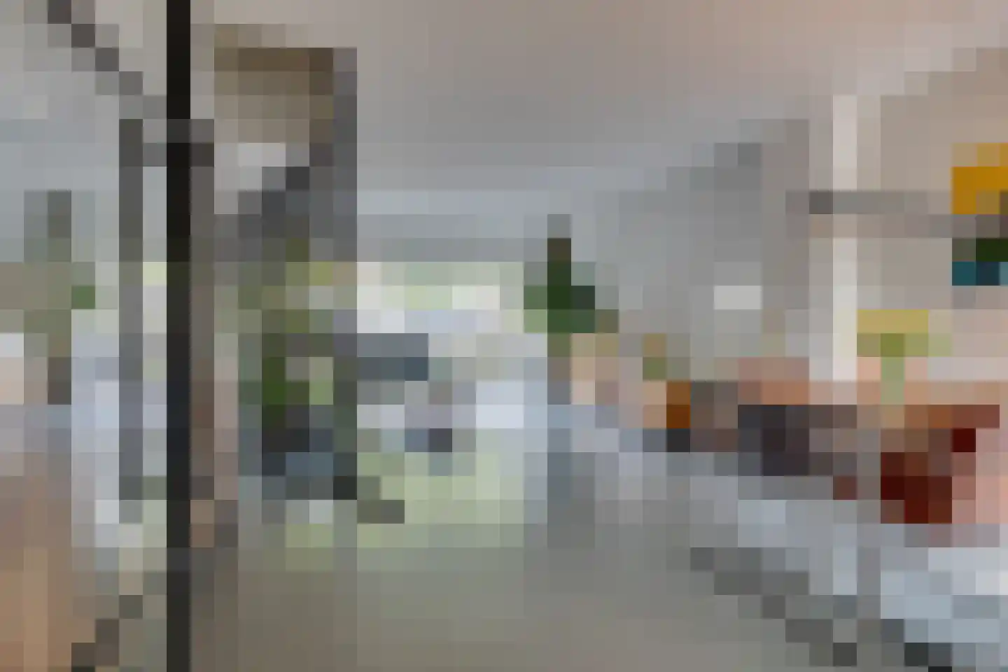 Kokmeeuw 23 Leusden thumbnail 5