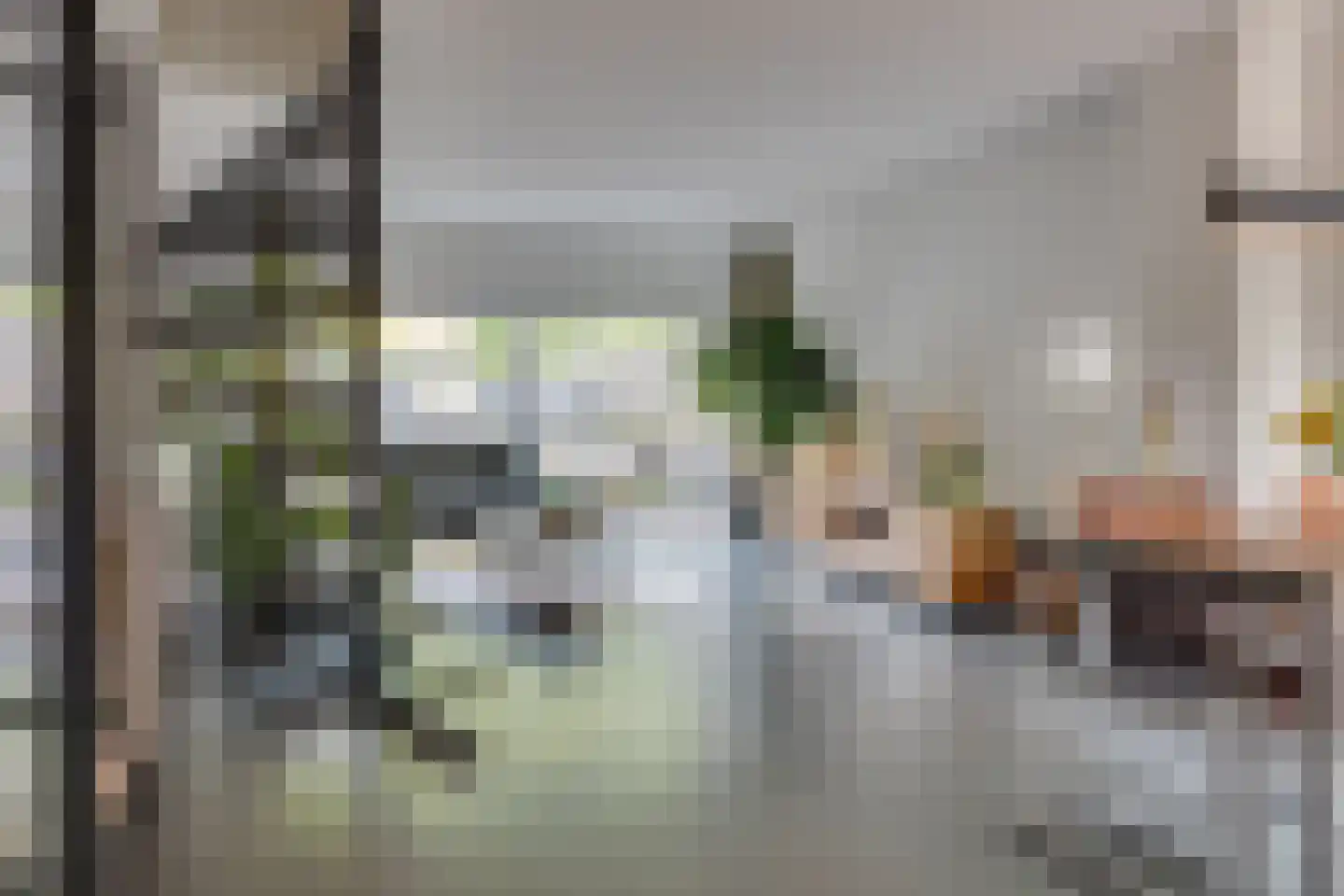 Kokmeeuw 23 Leusden thumbnail 6