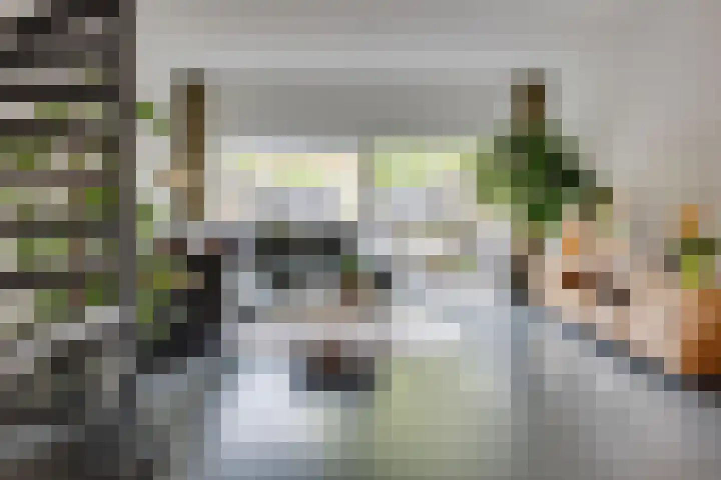 Kokmeeuw 23 Leusden thumbnail 7