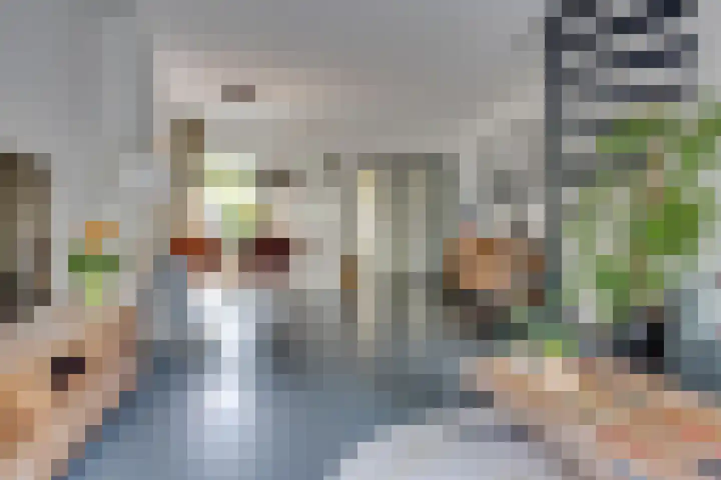 Kokmeeuw 23 Leusden thumbnail 9