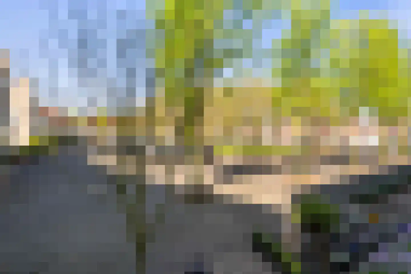 Kokmeeuw 32 Weert thumbnail 10