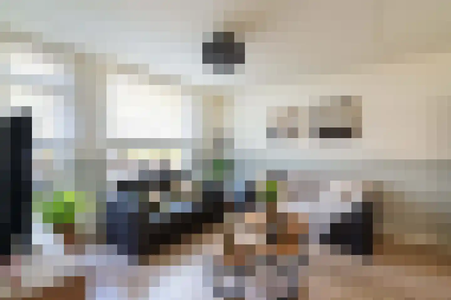 Kokmeeuw 32 Weert thumbnail 13