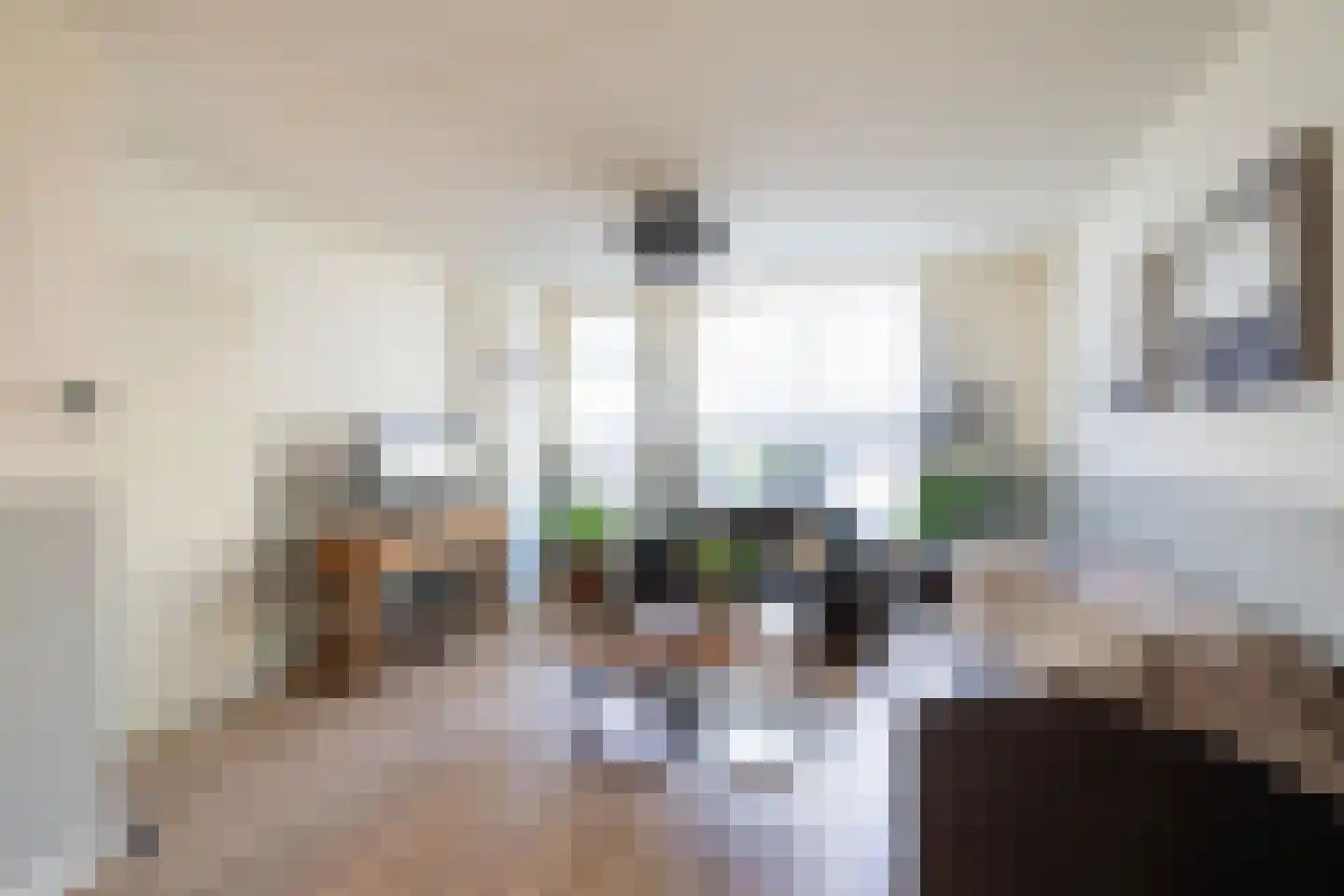 Kokmeeuw 32 Weert thumbnail 14