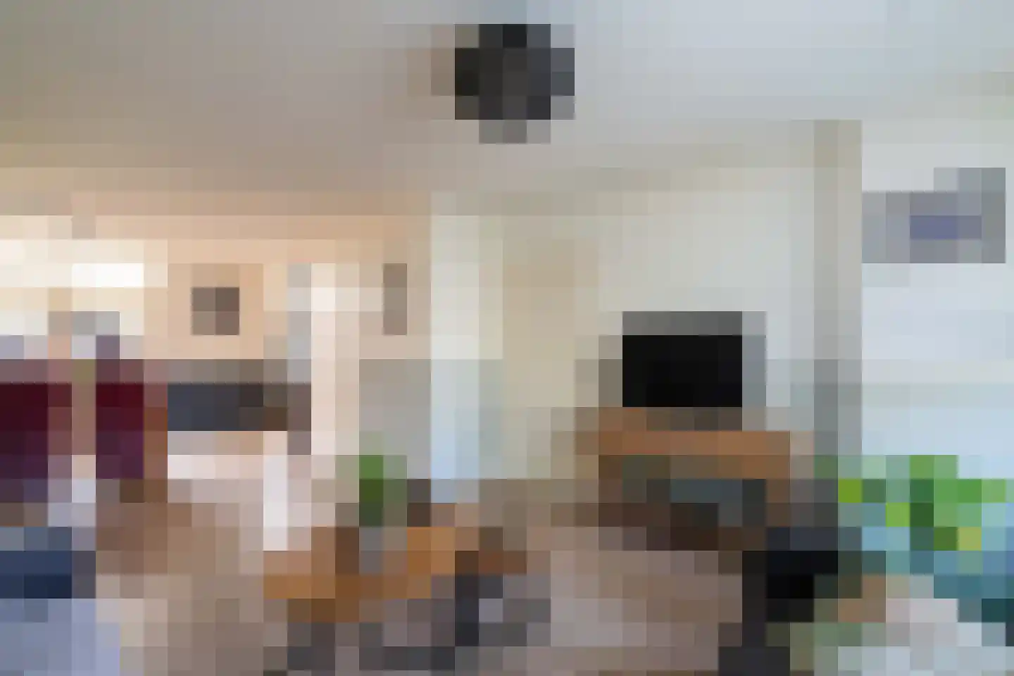 Kokmeeuw 32 Weert thumbnail 15