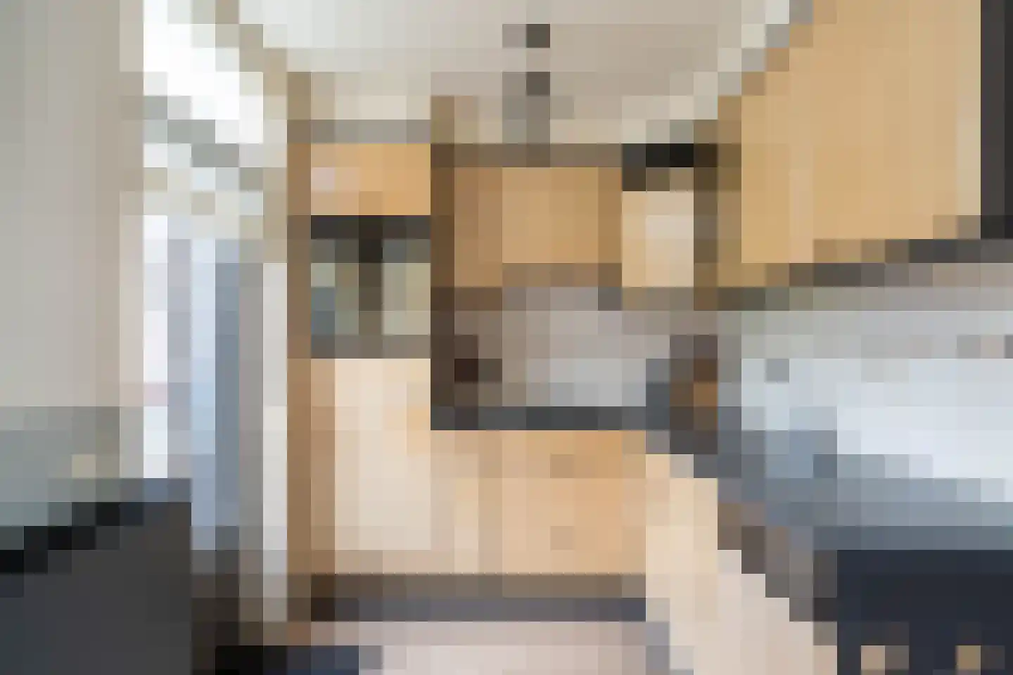 Kokmeeuw 32 Weert thumbnail 18