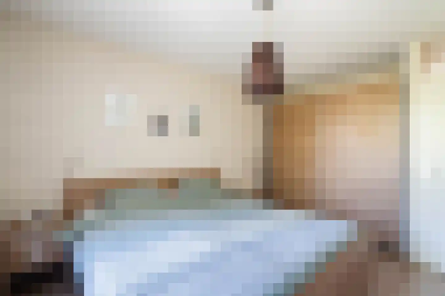Kokmeeuw 32 Weert thumbnail 25