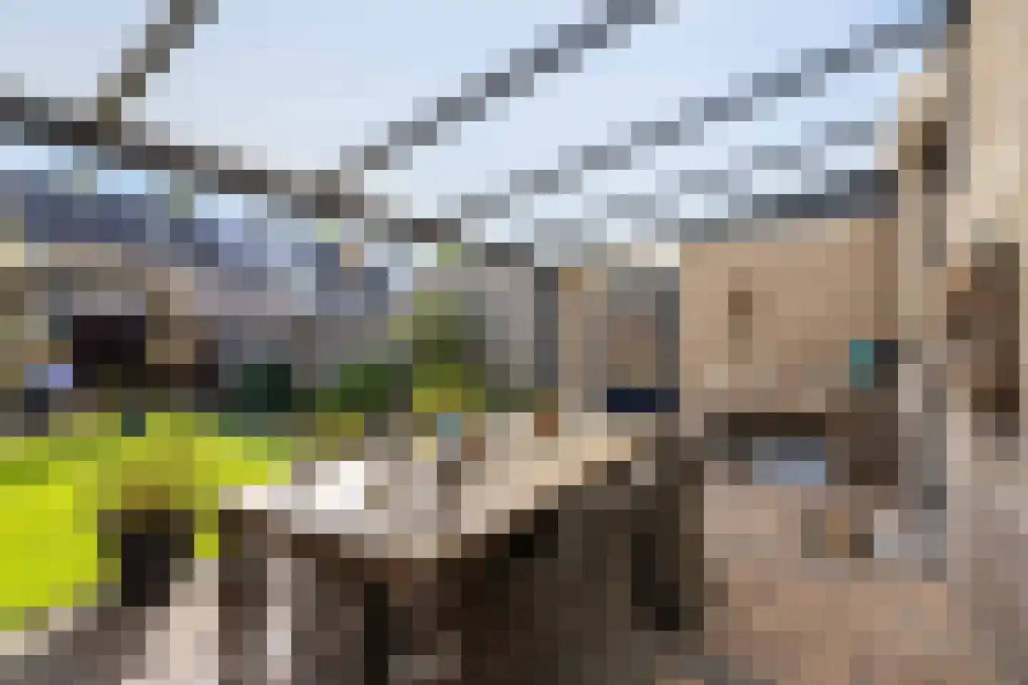 Kokmeeuw 32 Weert thumbnail 36