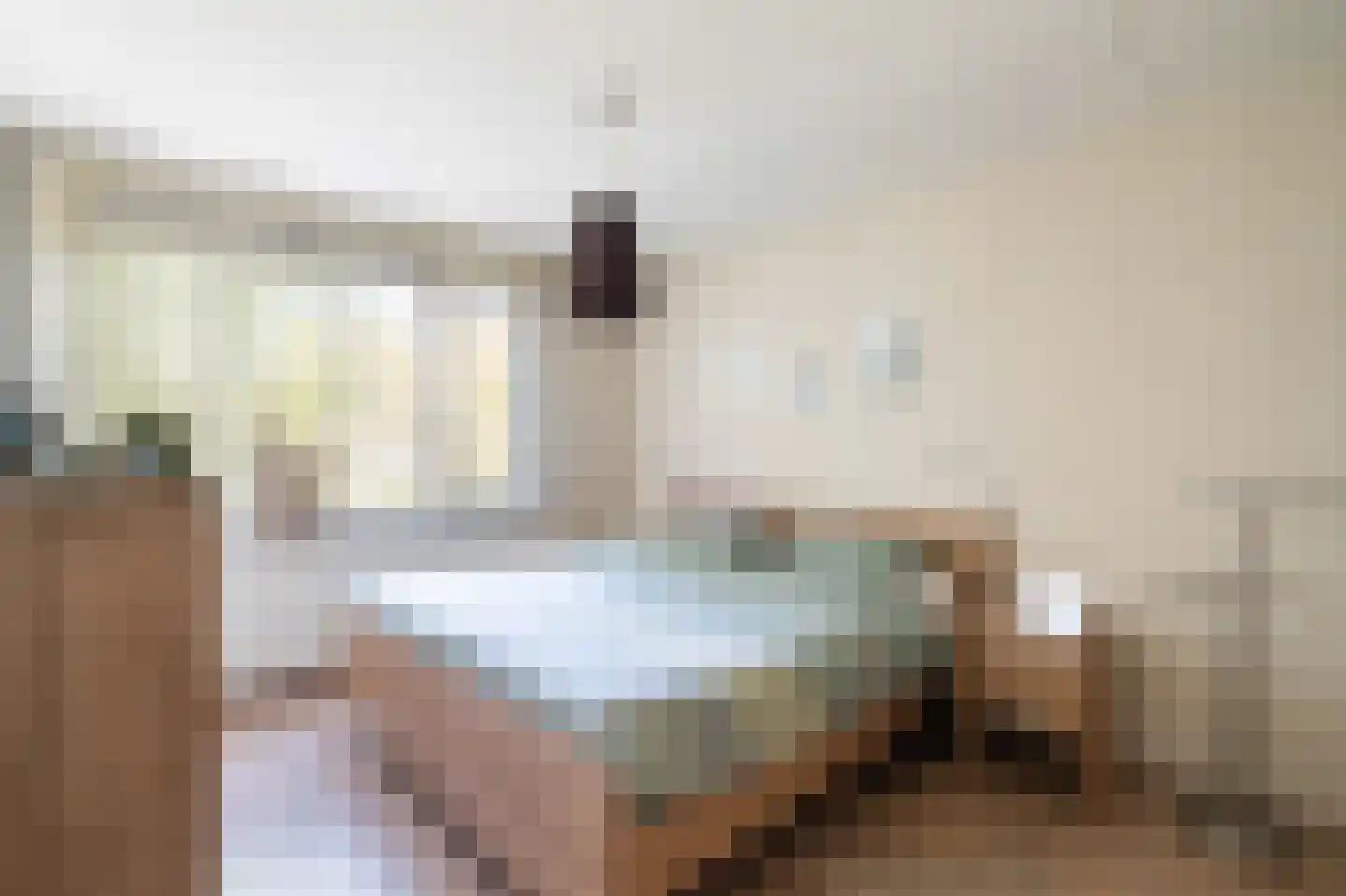 Kokmeeuw 32 Weert thumbnail 4