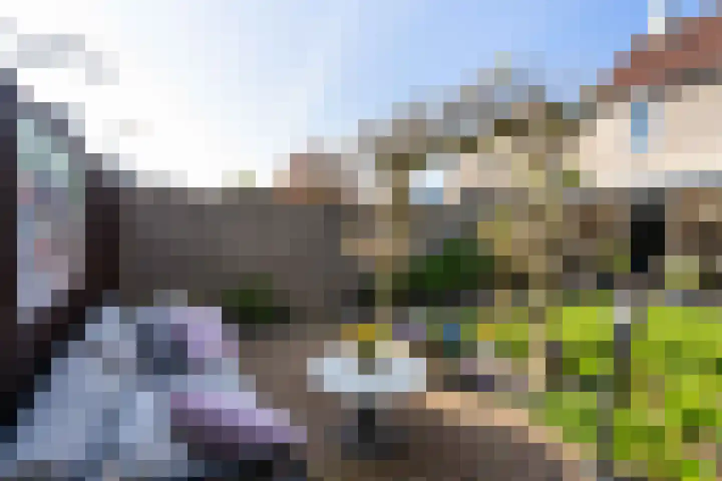 Kokmeeuw 32 Weert thumbnail 40