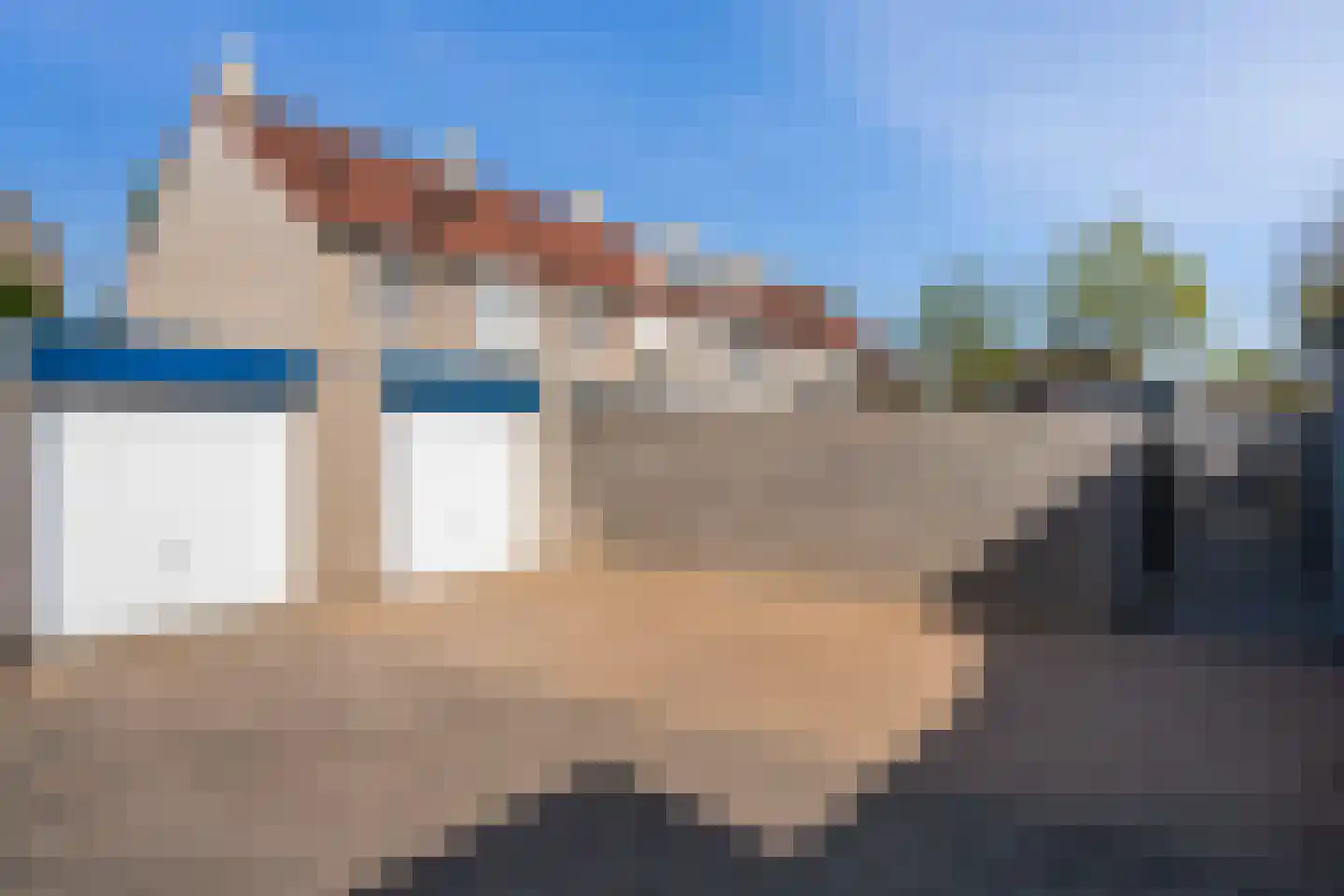 Kokmeeuw 32 Weert thumbnail 42