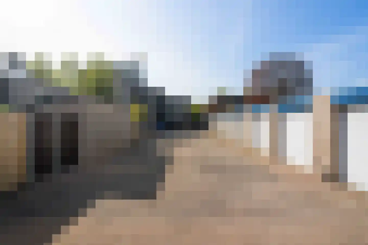 Kokmeeuw 32 Weert thumbnail 43