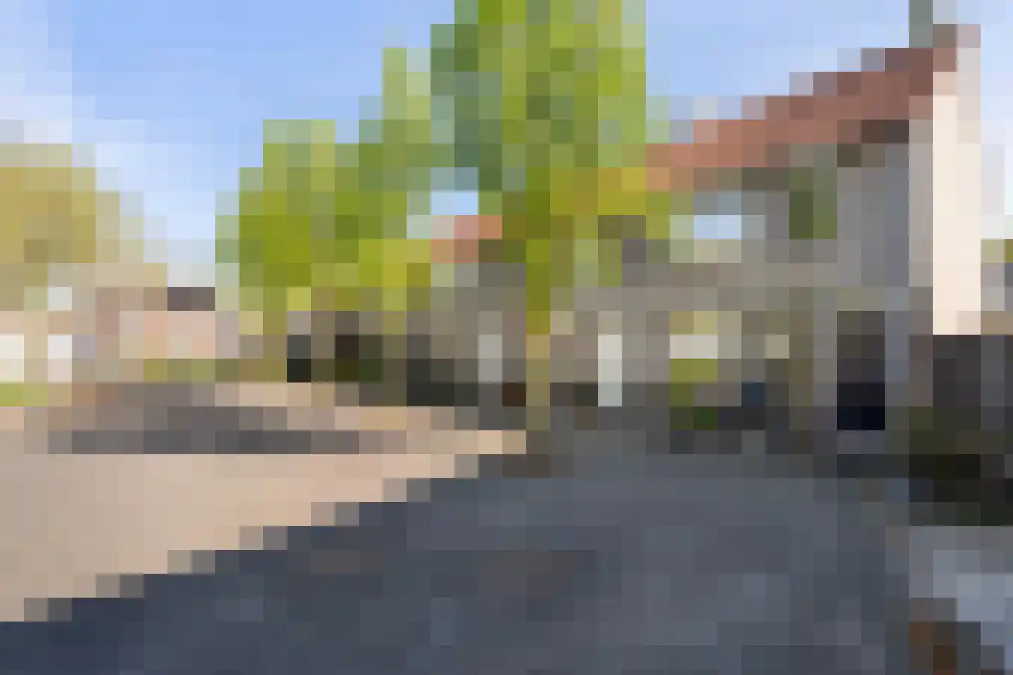 Kokmeeuw 32 Weert thumbnail 44