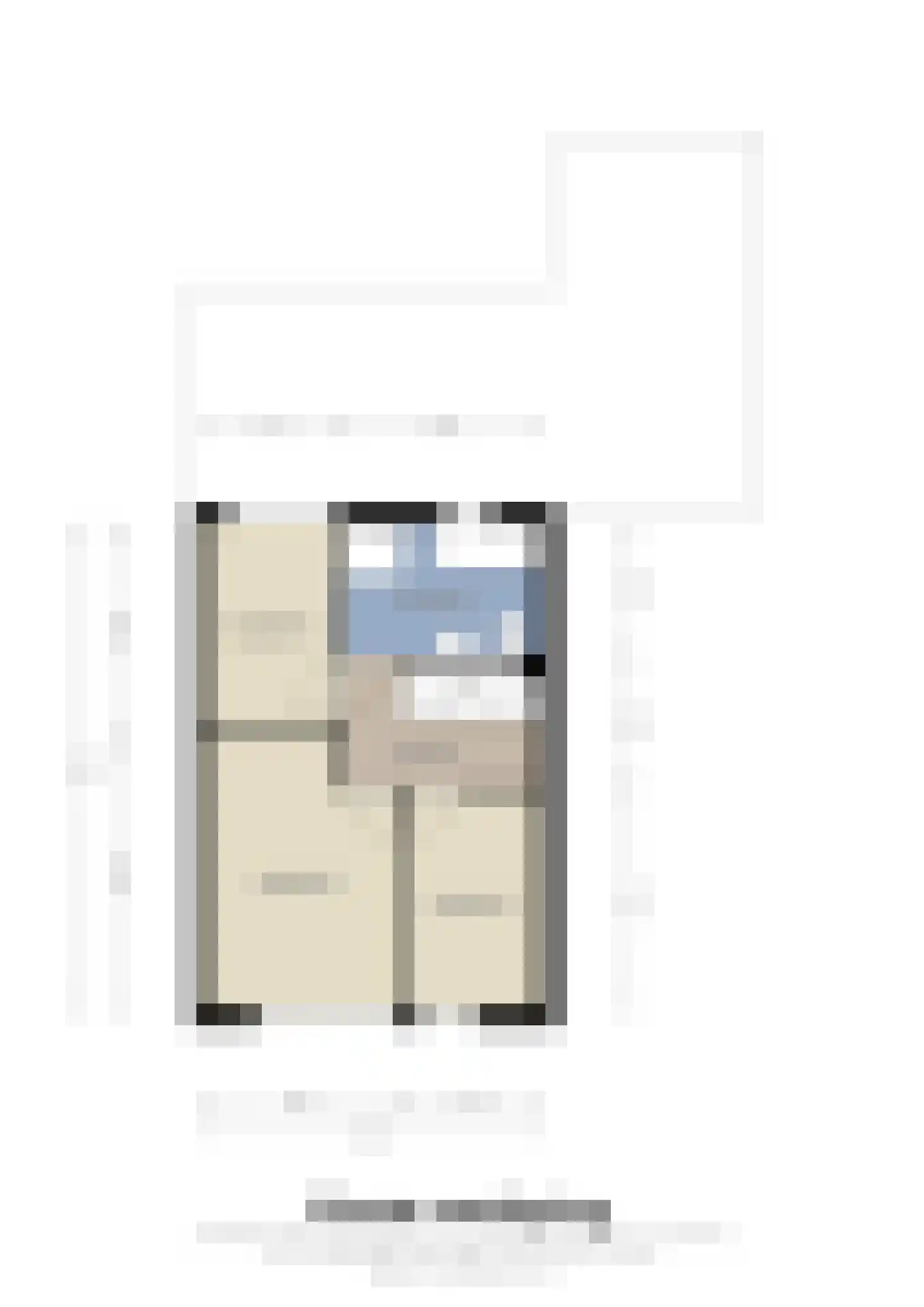 Kokmeeuw 32 Weert thumbnail 46