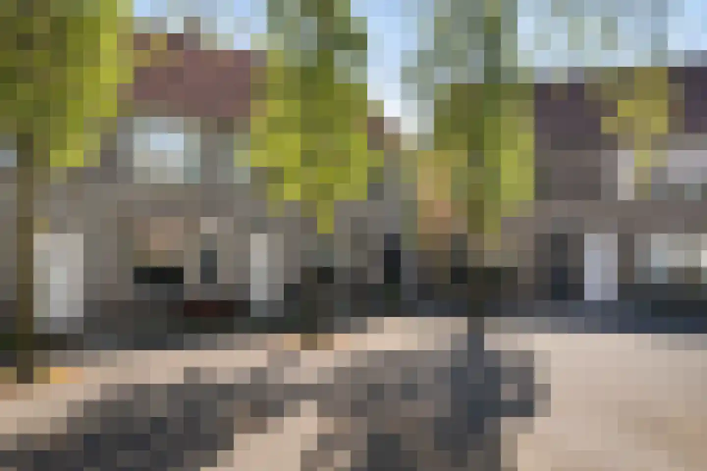 Kokmeeuw 32 Weert thumbnail 6