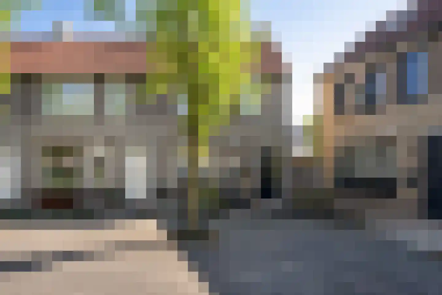 Kokmeeuw 32 Weert thumbnail 7