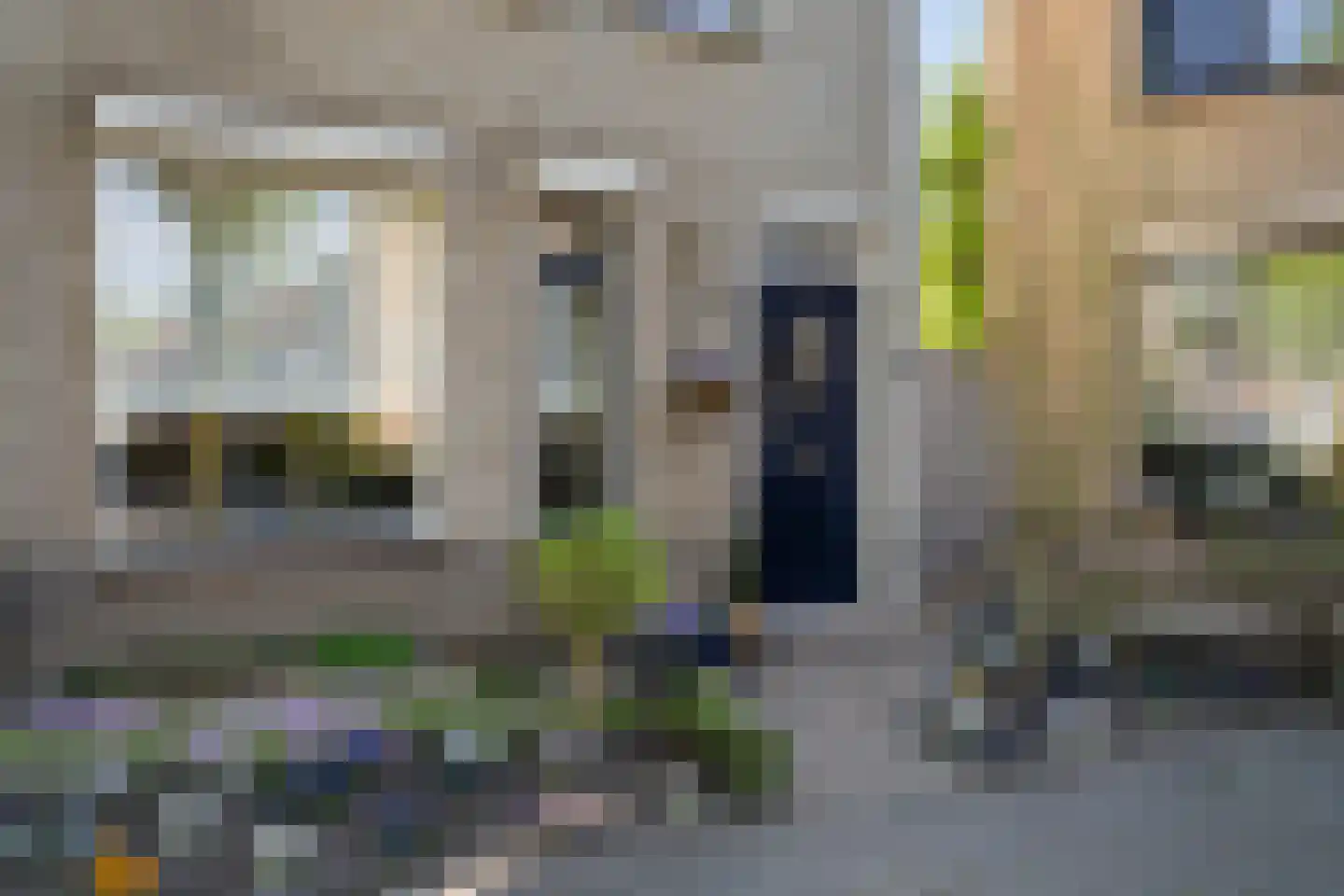 Kokmeeuw 32 Weert thumbnail 8