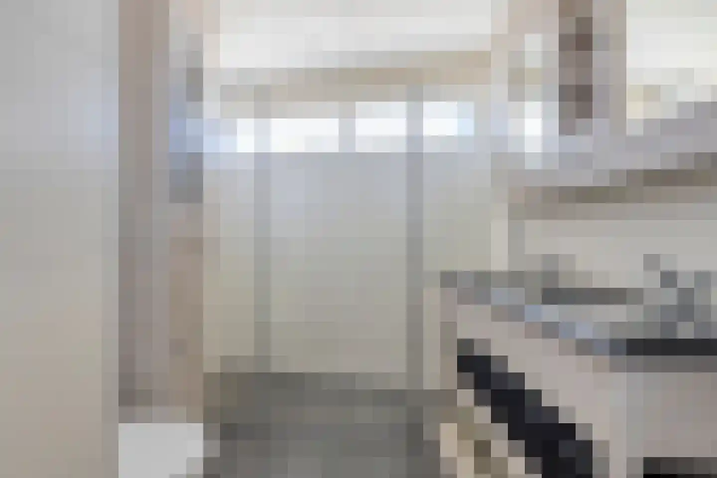 Kokmeeuw 8 Bergen op Zoom thumbnail 12