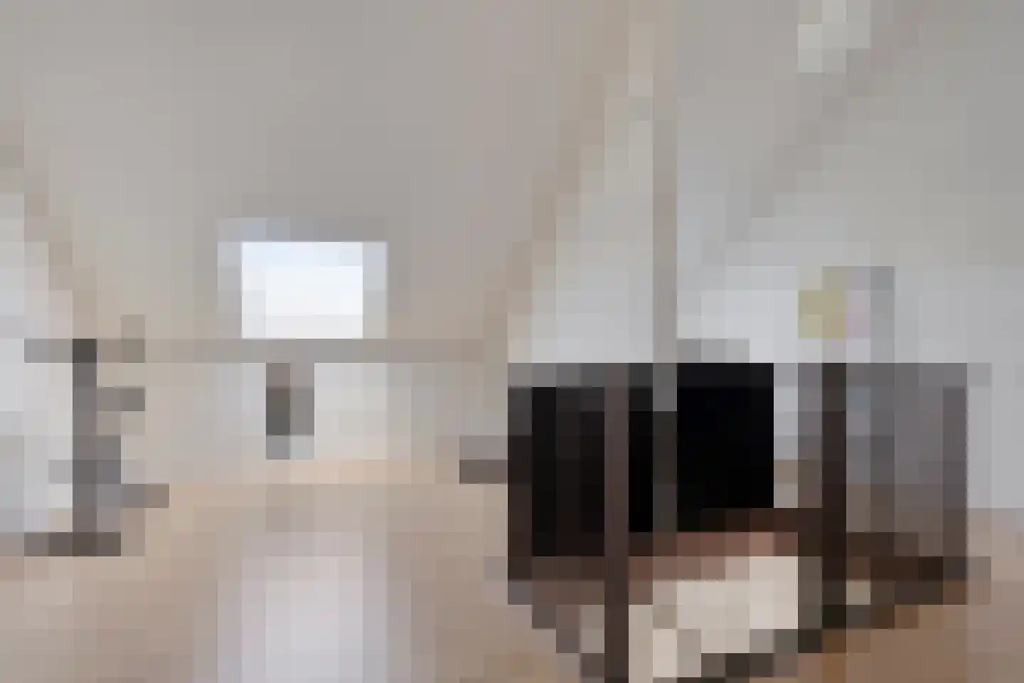 Kokmeeuw 8 Bergen op Zoom thumbnail 13