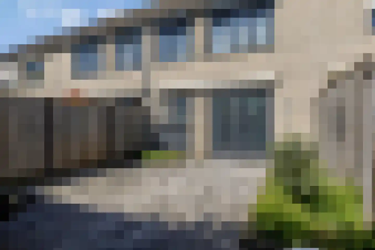 Kokmeeuw 8 Bergen op Zoom thumbnail 14