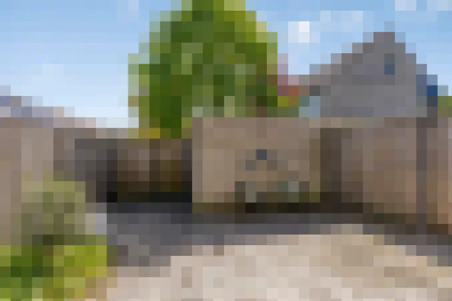 Kokmeeuw 8 Bergen op Zoom thumbnail 15