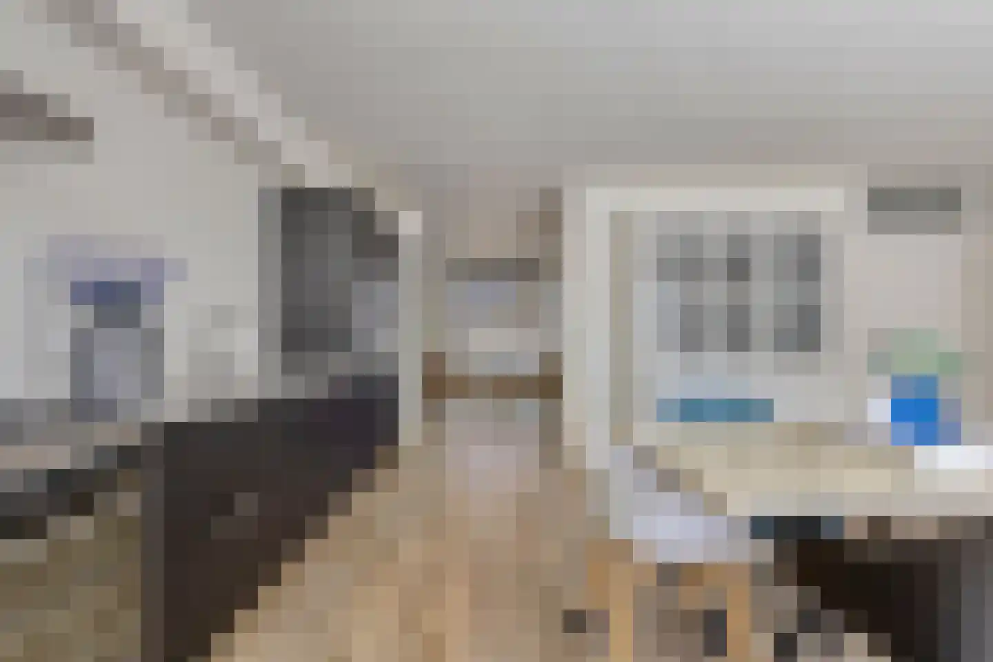 Kokmeeuw 8 Bergen op Zoom thumbnail 5