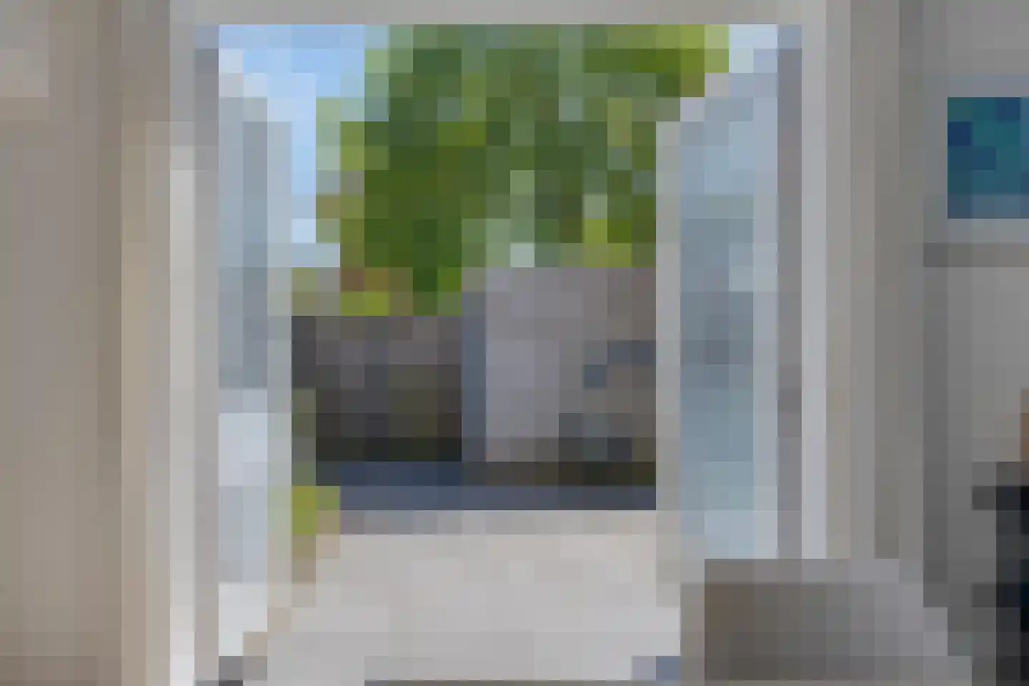 Kokmeeuw 8 Bergen op Zoom thumbnail 6