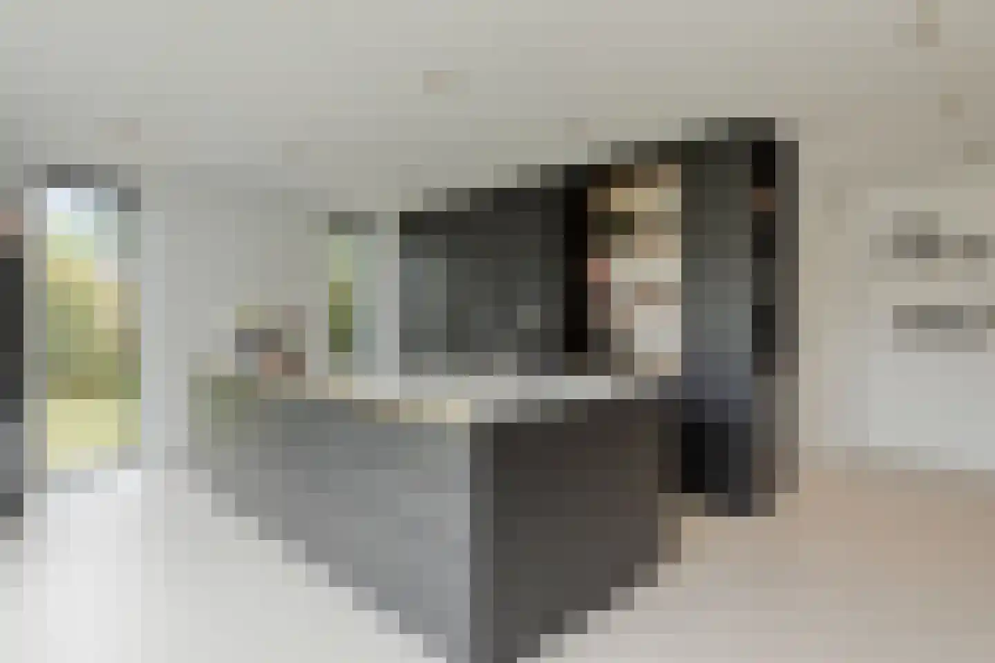 Kokmeeuwstraat 12 Zierikzee thumbnail 12
