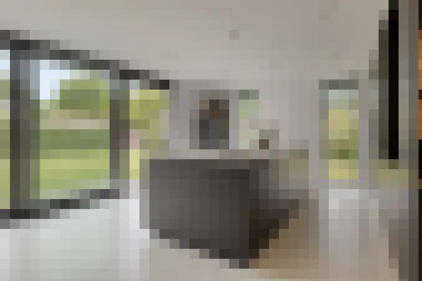 Kokmeeuwstraat 12 Zierikzee thumbnail 15
