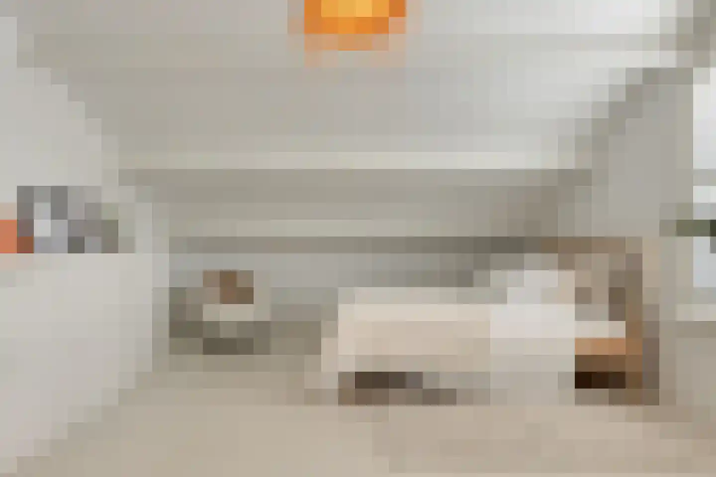 Kokmeeuwstraat 12 Zierikzee thumbnail 33