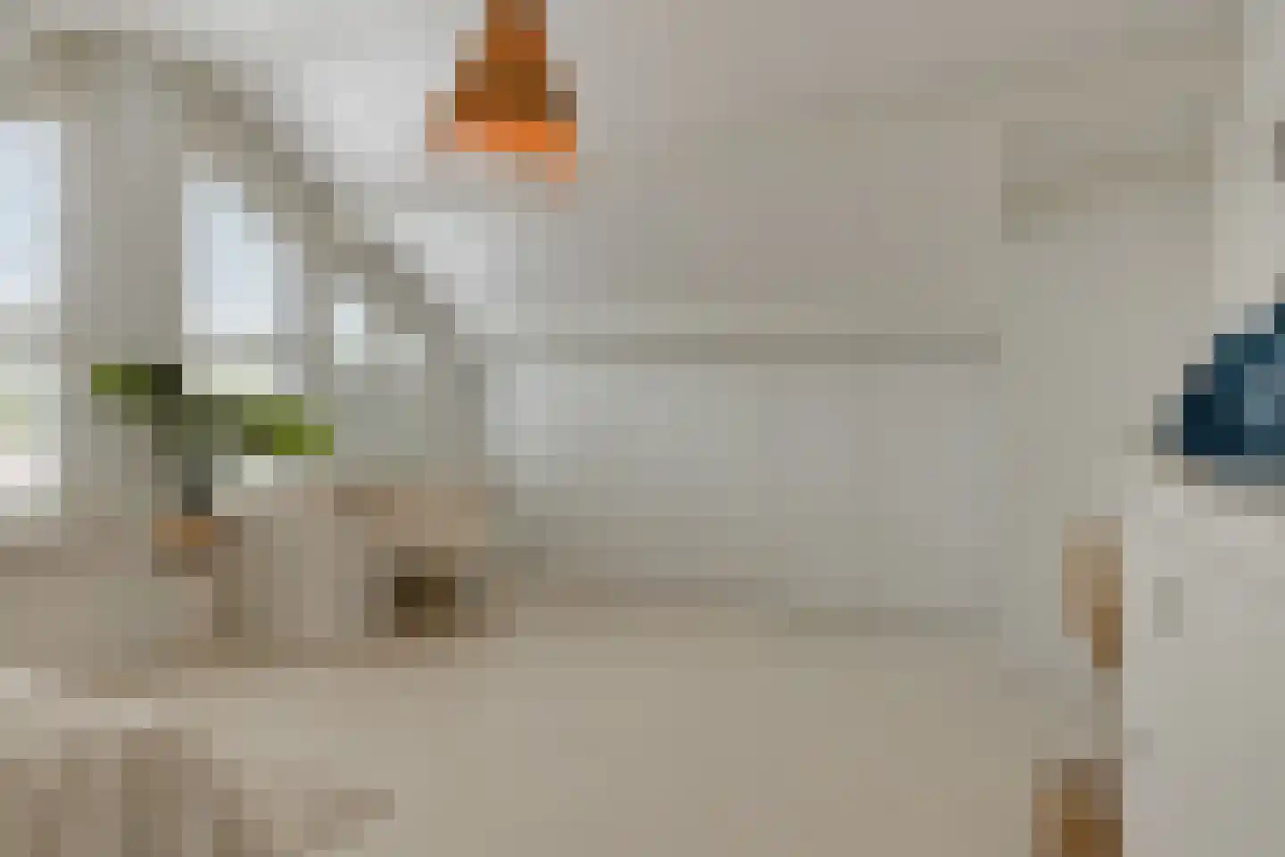 Kokmeeuwstraat 12 Zierikzee thumbnail 34