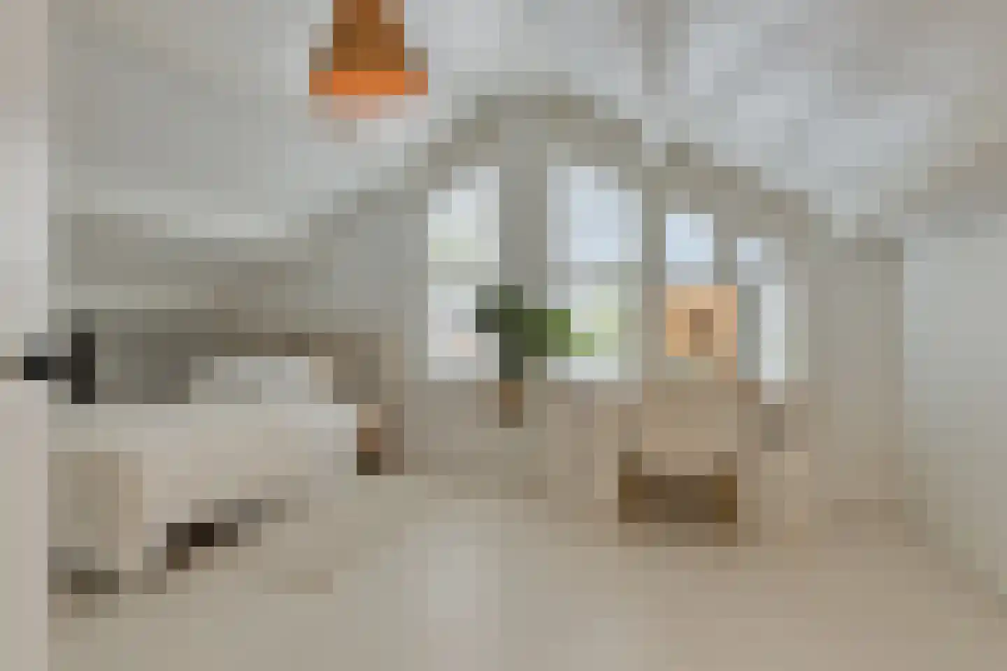 Kokmeeuwstraat 12 Zierikzee thumbnail 35