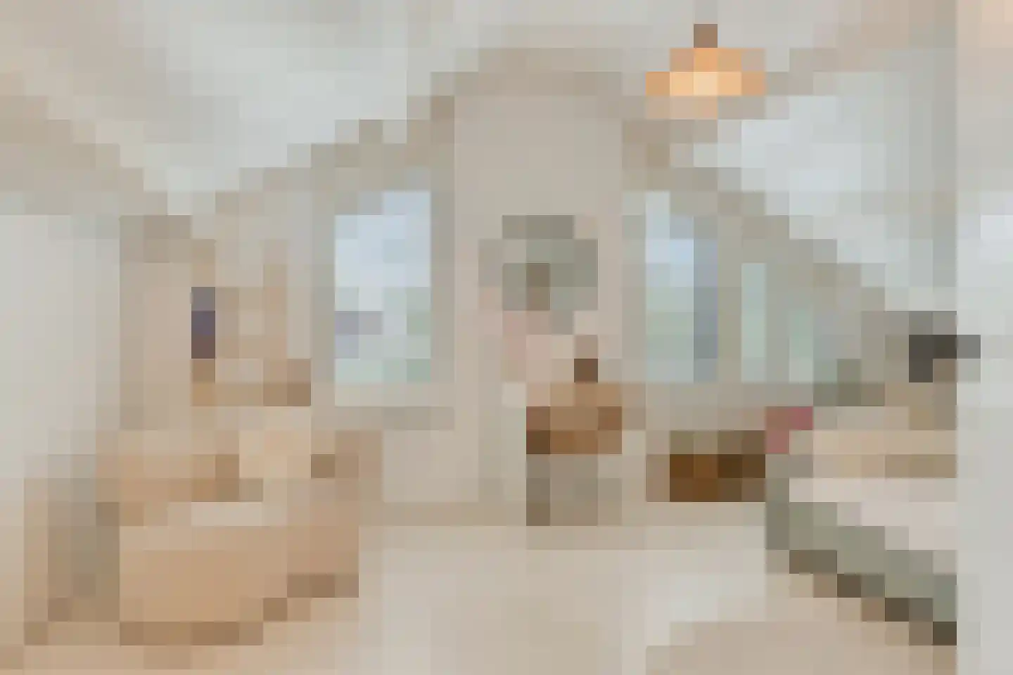 Kokmeeuwstraat 12 Zierikzee thumbnail 36