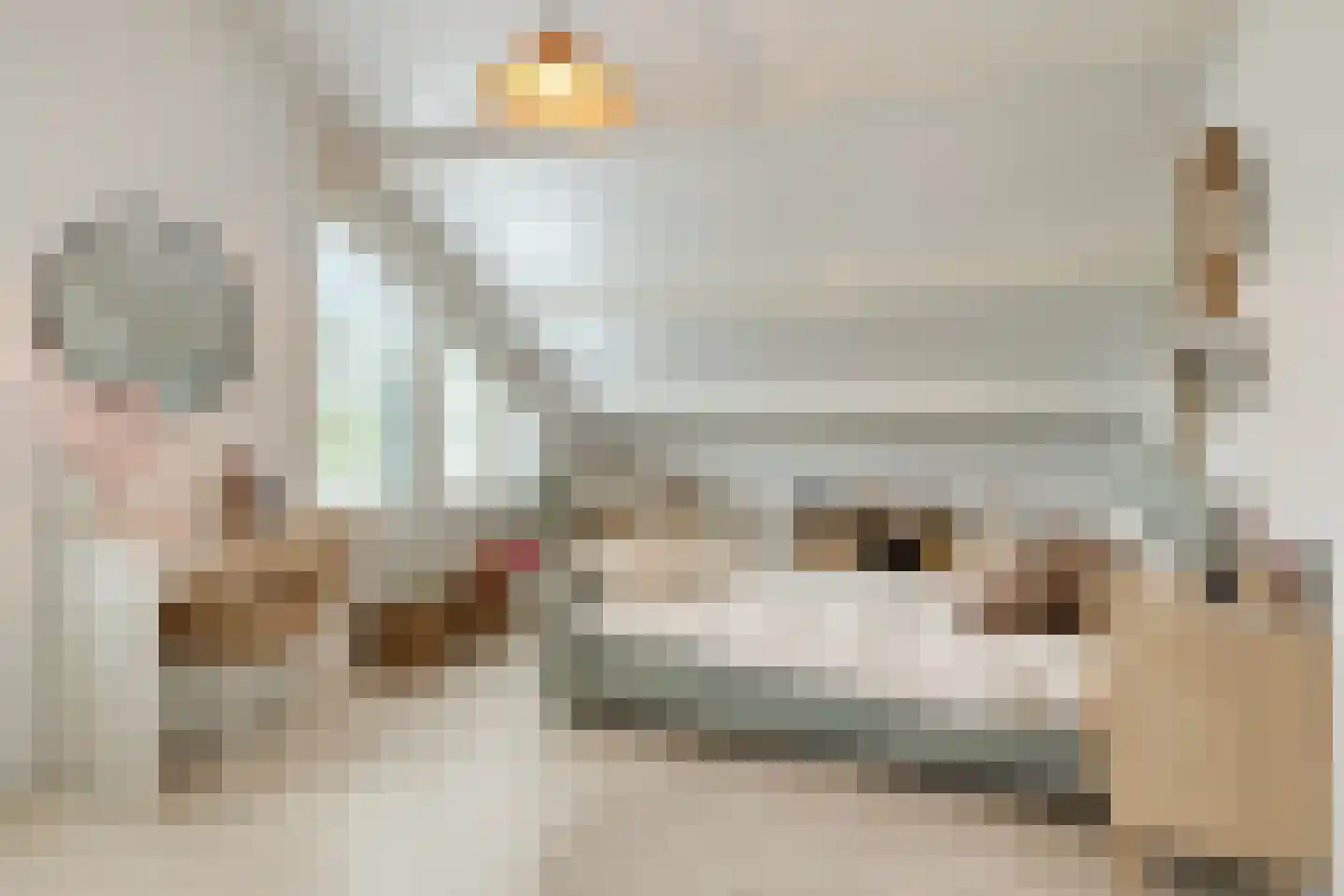 Kokmeeuwstraat 12 Zierikzee thumbnail 37