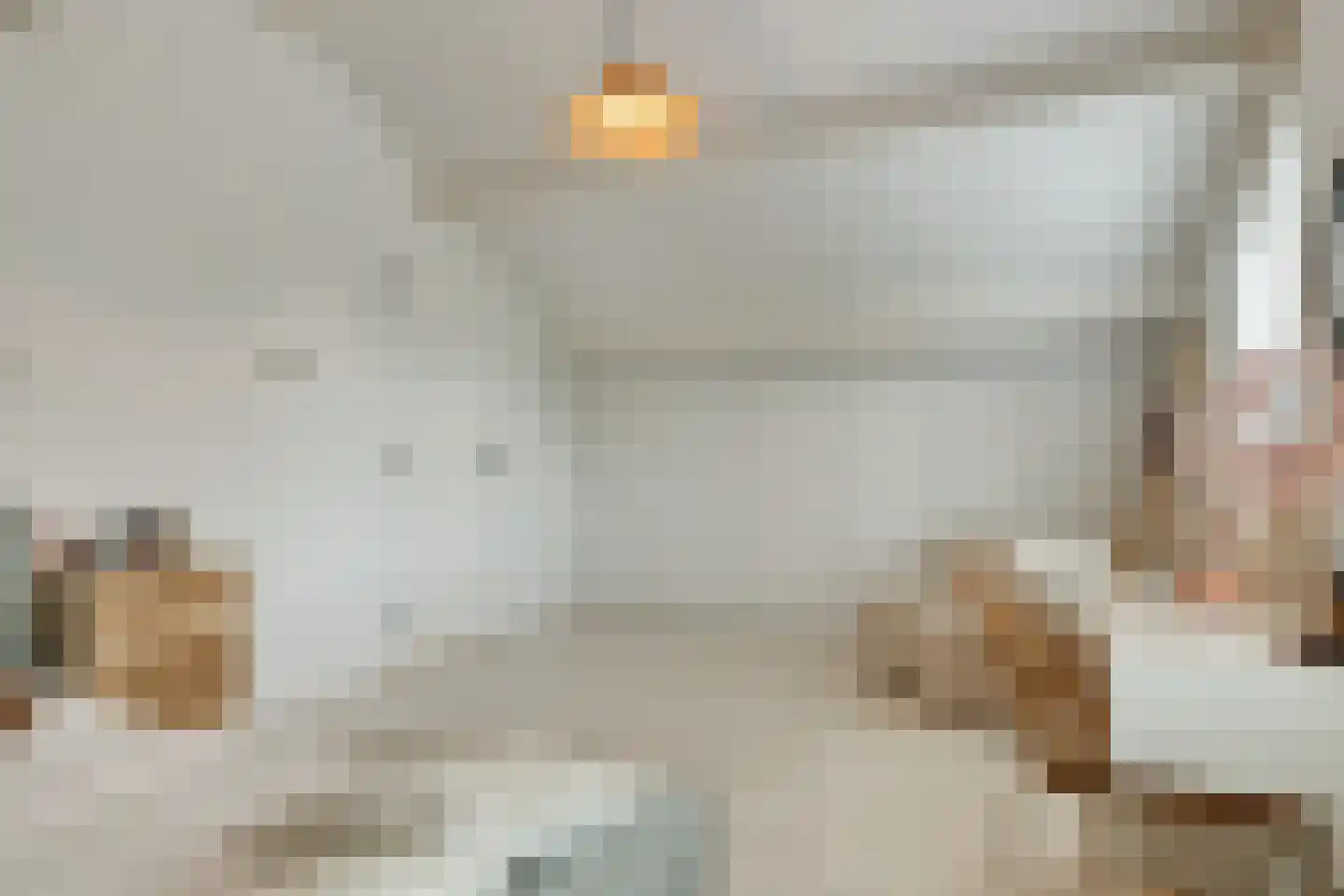 Kokmeeuwstraat 12 Zierikzee thumbnail 38