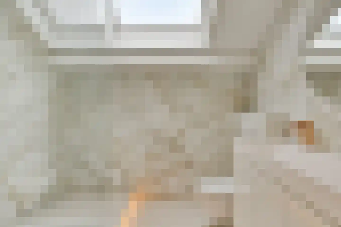 Kokmeeuwstraat 12 Zierikzee thumbnail 39