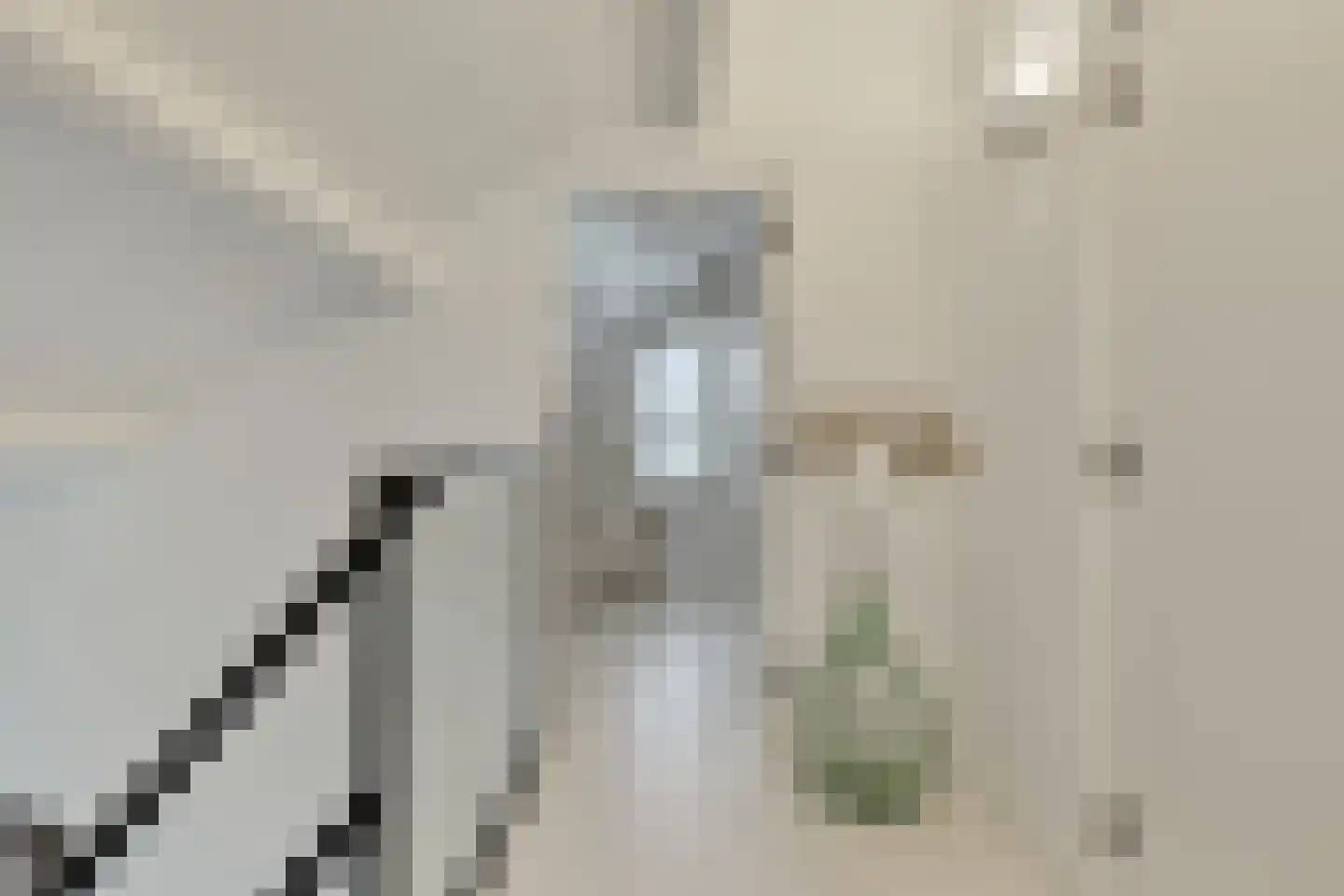 Kokmeeuwstraat 12 Zierikzee thumbnail 41