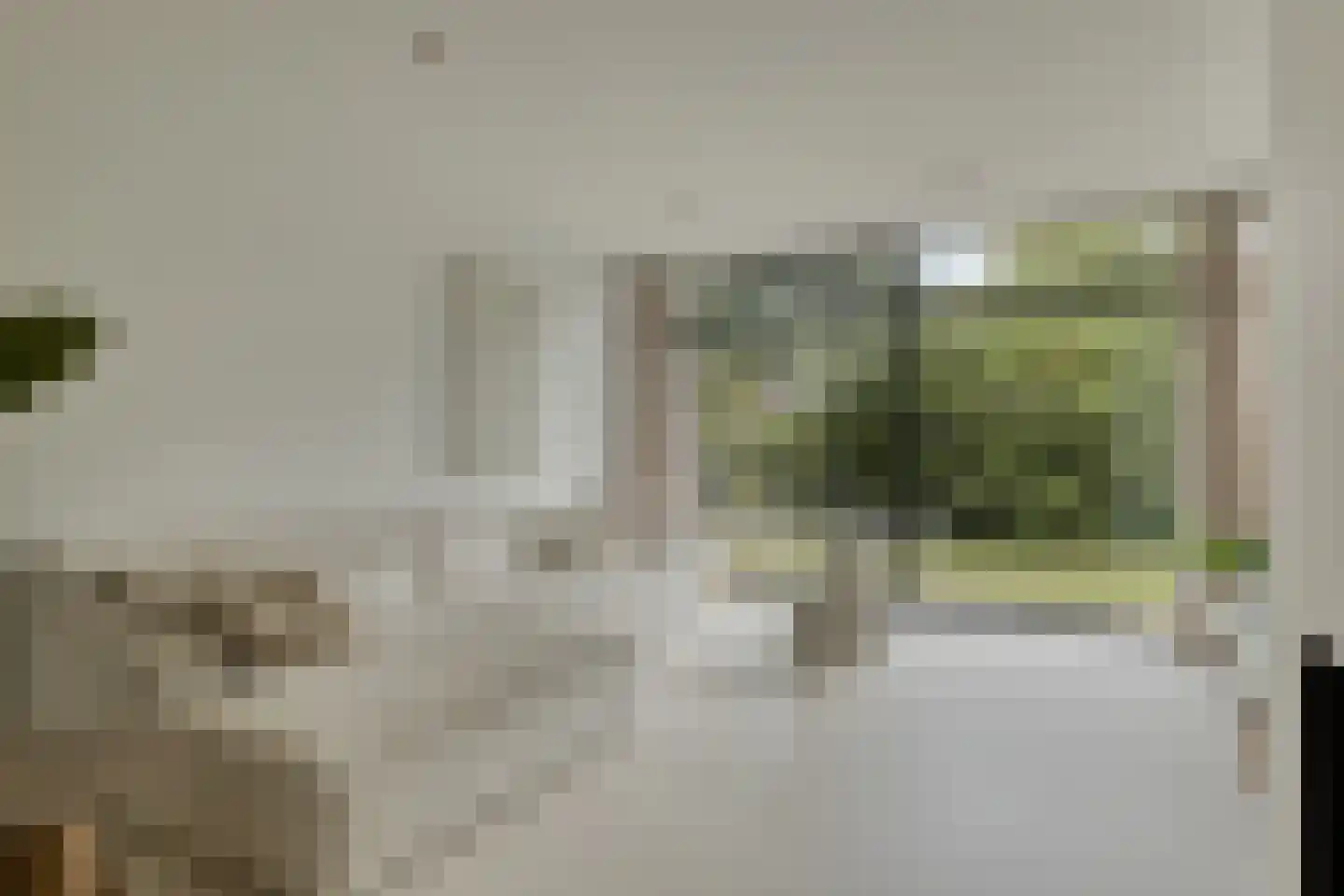 Kokmeeuwstraat 12 Zierikzee thumbnail 5