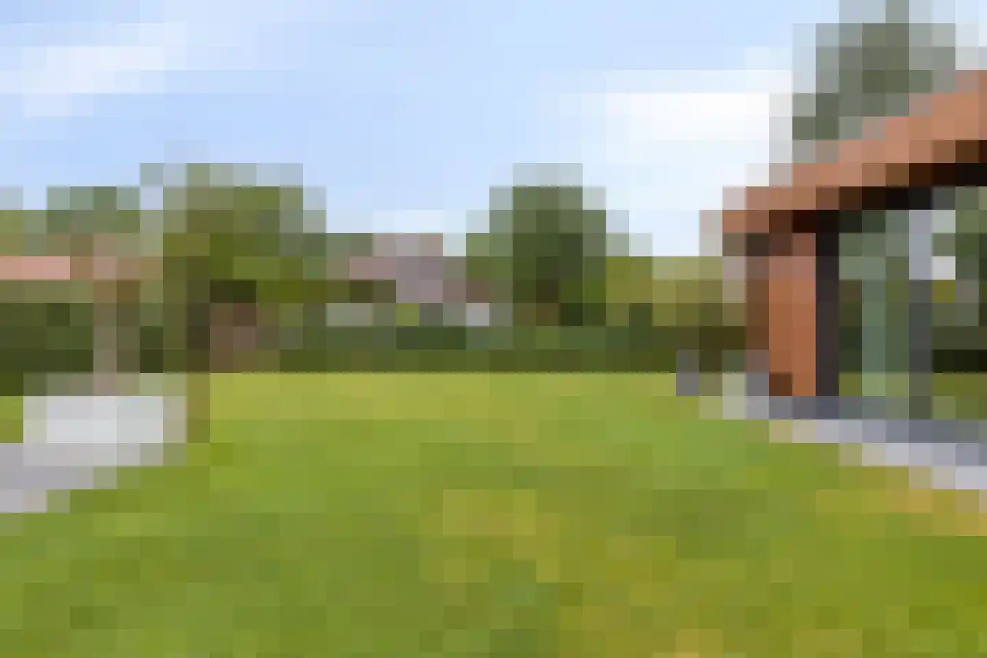 Kokmeeuwstraat 12 Zierikzee thumbnail 57